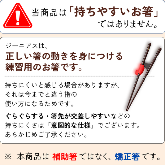 【中学生〜大人まで】大人用矯正箸ジーニアス