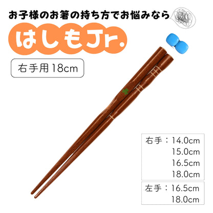 【幼児〜小学生まで】子供用矯正箸はしもjr.