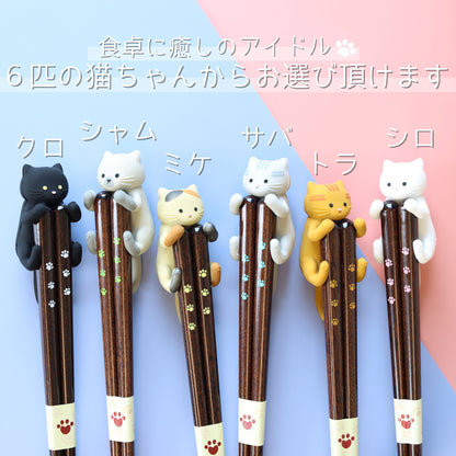 【ねこ好き必見】 はぐキャット