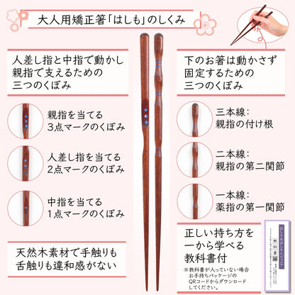 【中学生〜大人まで】大人用矯正箸はしも
