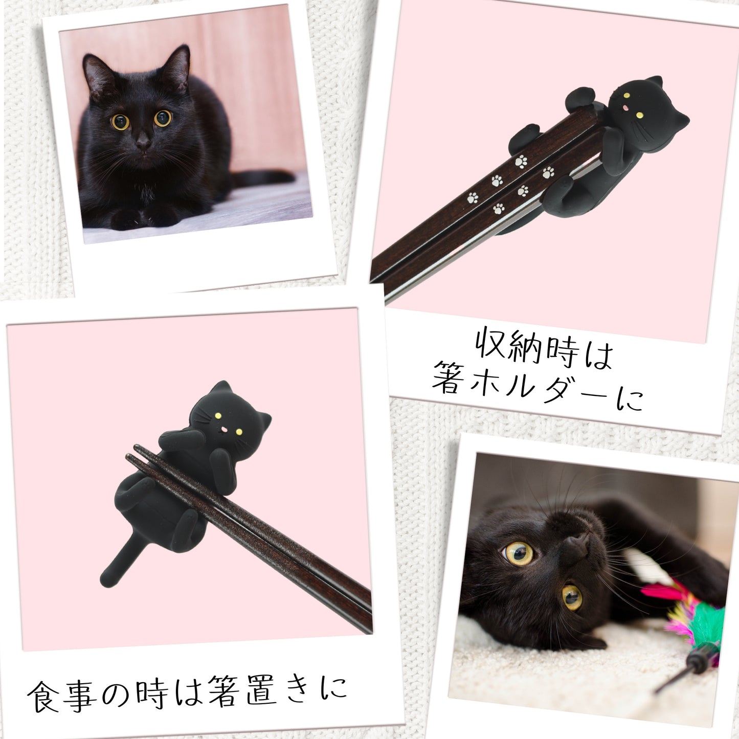 【ねこ好き必見】 はぐキャット