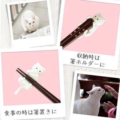 【ねこ好き必見】 はぐキャット