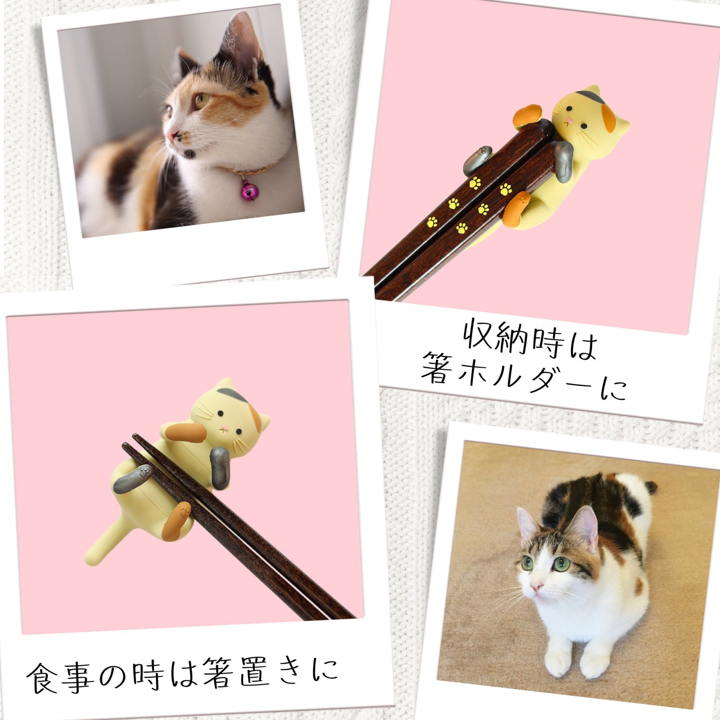 【ねこ好き必見】 はぐキャット
