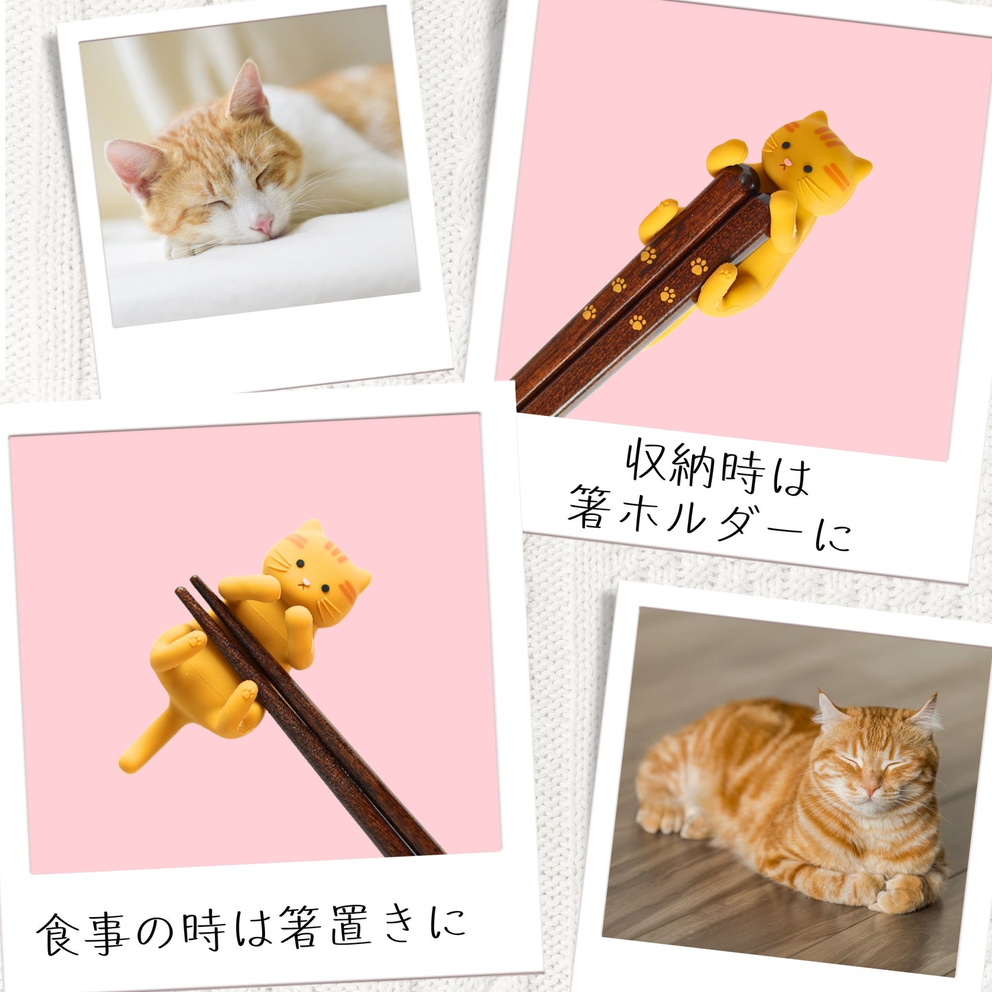 【ねこ好き必見】 はぐキャット