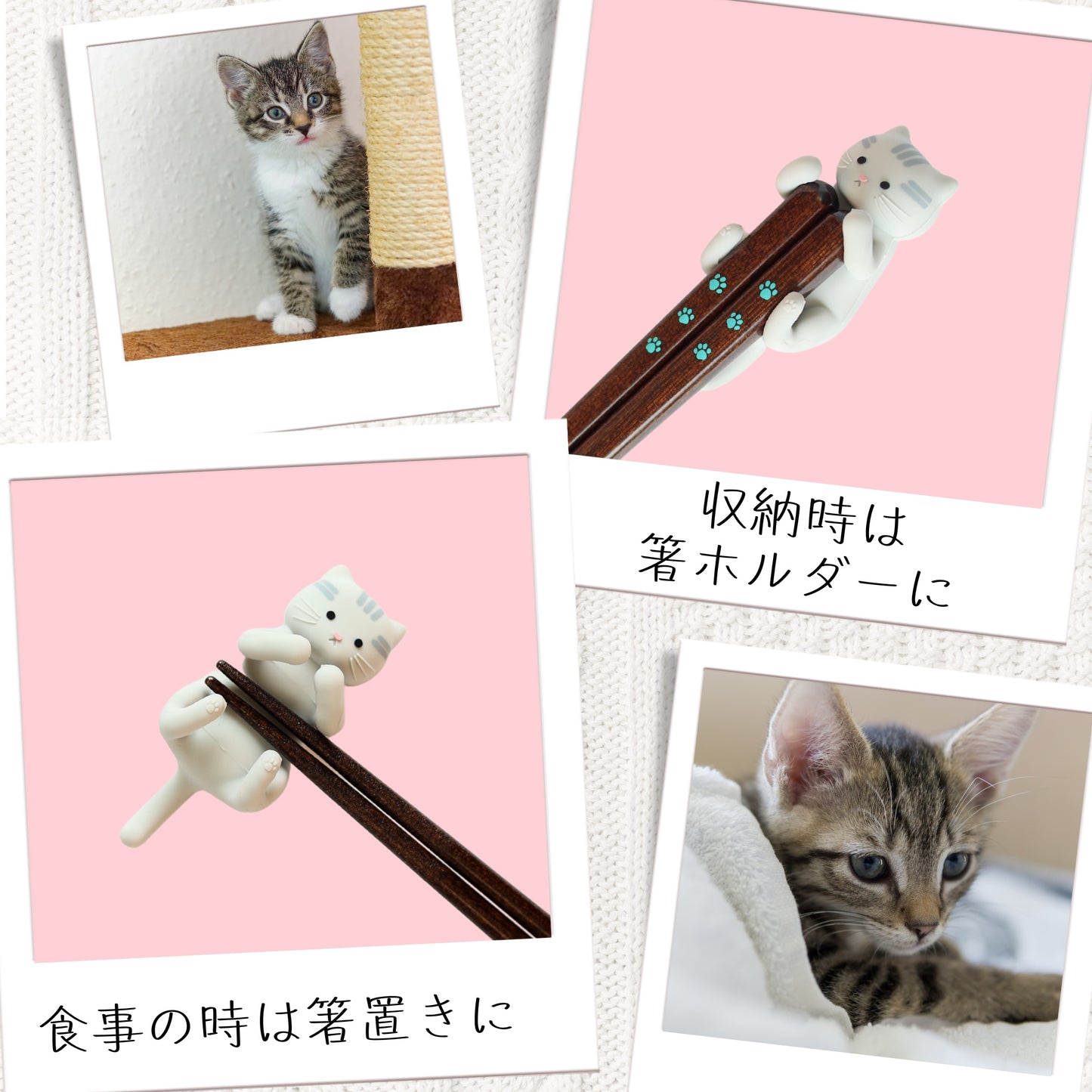 【ねこ好き必見】 はぐキャット