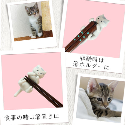 【ねこ好き必見】 はぐキャット