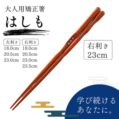 【中学生〜大人まで】大人用矯正箸はしも