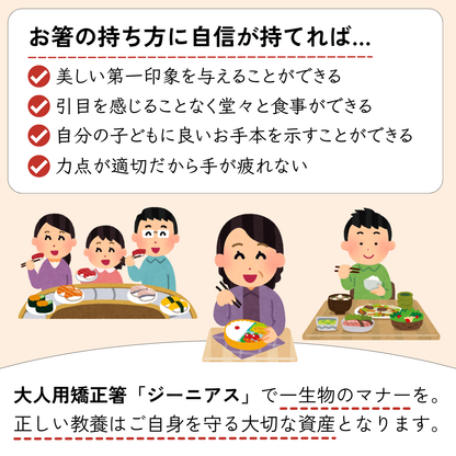 【中学生〜大人まで】大人用矯正箸ジーニアス