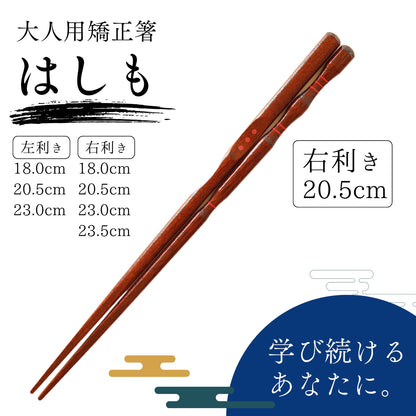 【中学生〜大人まで】大人用矯正箸はしも