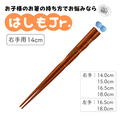 【幼児〜小学生まで】子供用矯正箸はしもjr.