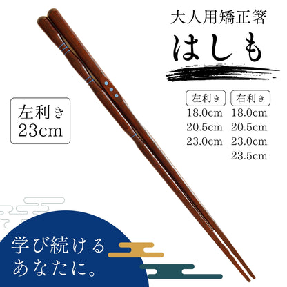 【中学生〜大人まで】大人用矯正箸はしも