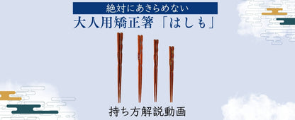 【中学生〜大人まで】大人用矯正箸はしも